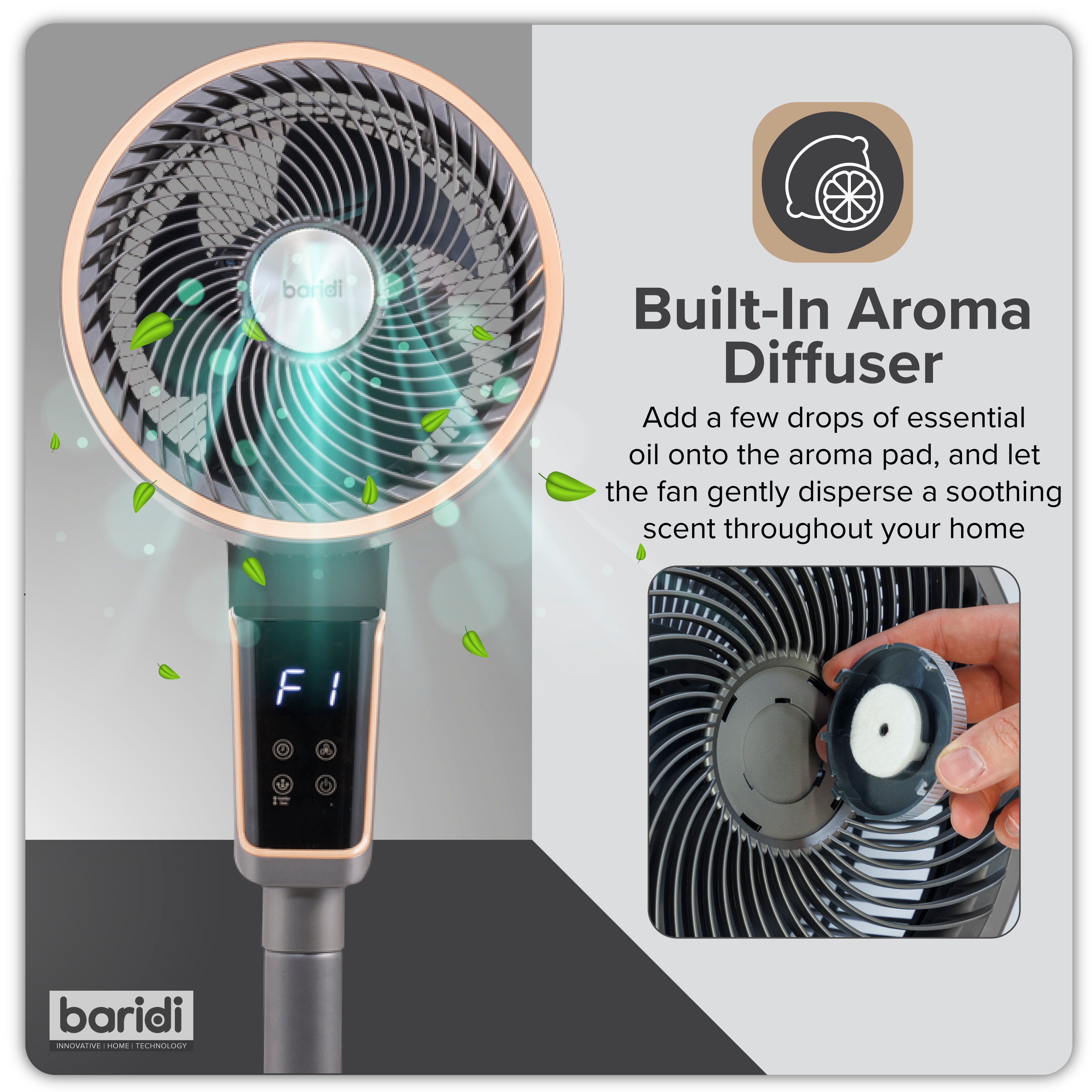 Baridi 12" Pedestal Fan with Remote Control & 12hr Timer - DH141