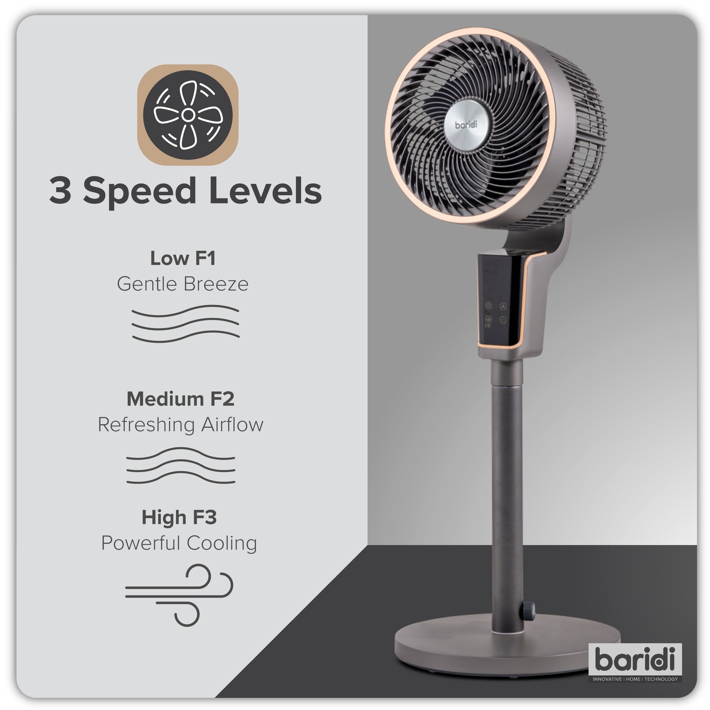 Baridi 12" Pedestal Fan with Remote Control & 12hr Timer - DH141