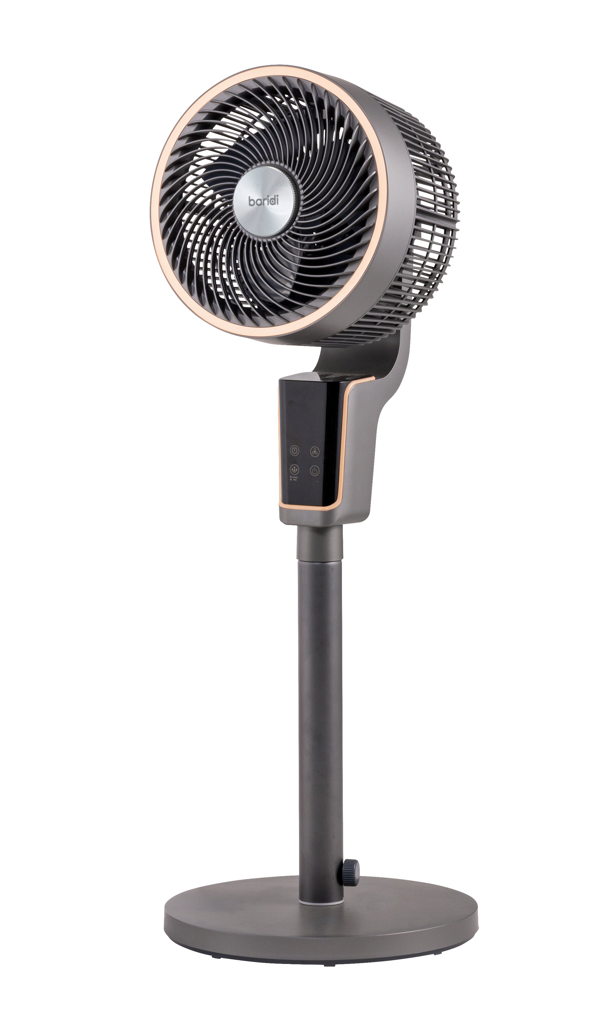 Baridi 12" Pedestal Fan with Remote Control & 12hr Timer - DH141