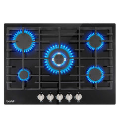 Gas Hobs